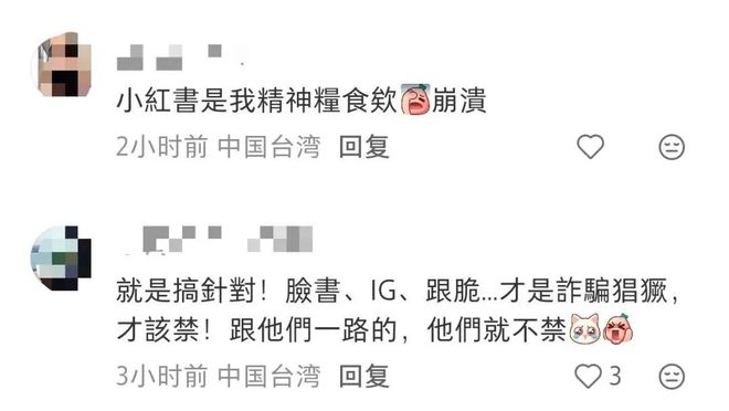 食粮并喊话当局；不少人分享正常使用小红书攻略台湾网友不舍小红书称真的不能理解已经成精神(图3)