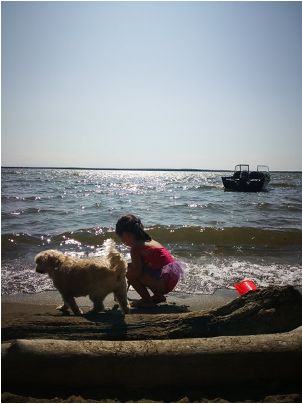 林到苏北田野｜苏西专栏土地的回声：从枫糖森