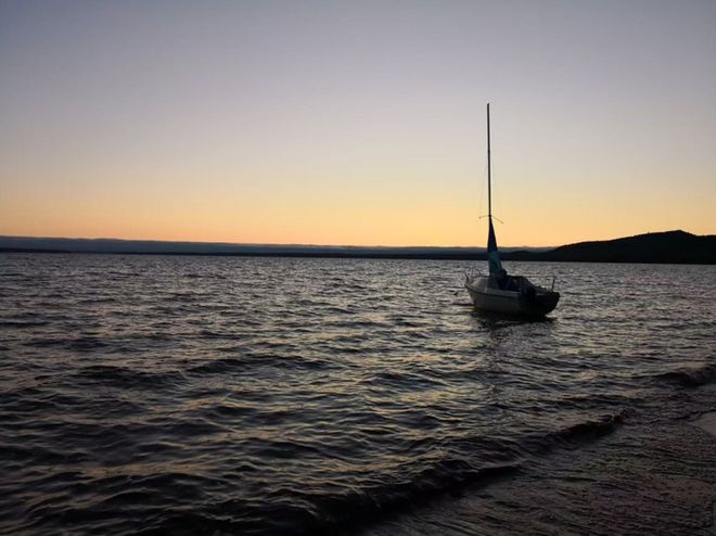 林到苏北田野｜苏西专栏土地的回声：从枫糖森(图4)